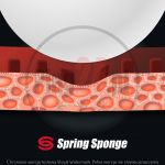 springsponge_8 (1)